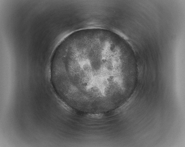 X0000111841415200908131409