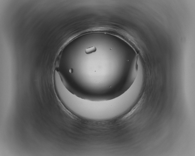 X0000111841417200908131409