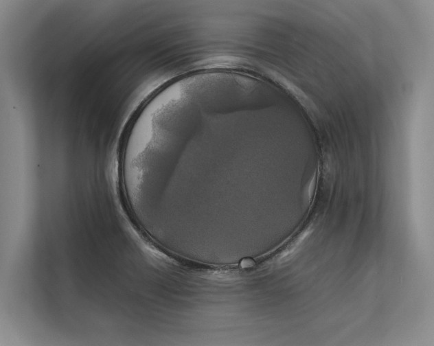 X0000111841418200908131409