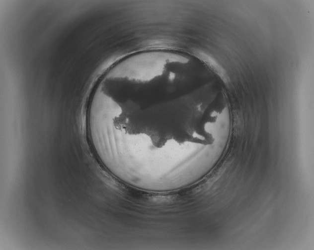 X0000111841419200908131409