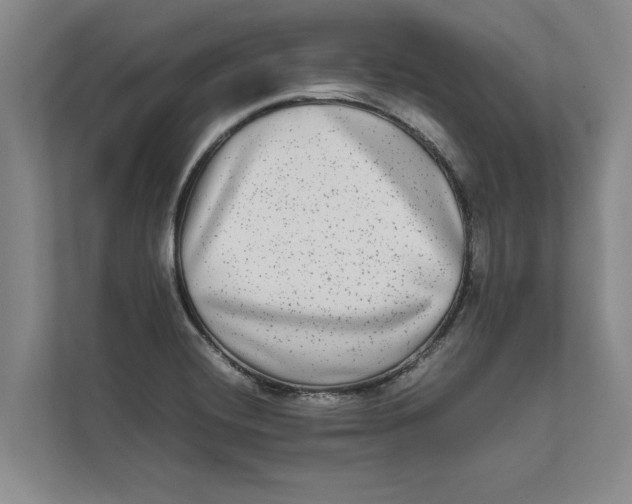 X0000111841420200908131409