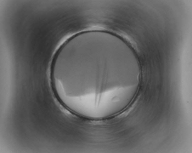 X0000111841422200908131409