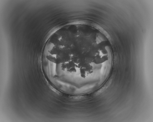 X0000111841425200908131409