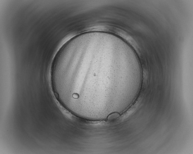 X0000111841426200908131409