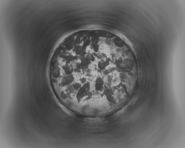 X0000111841429200908131409