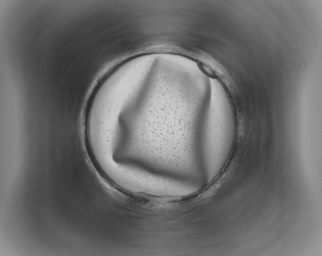 X0000111841430200908131409