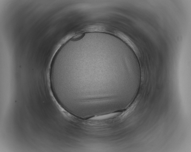 X0000111841434200908131409