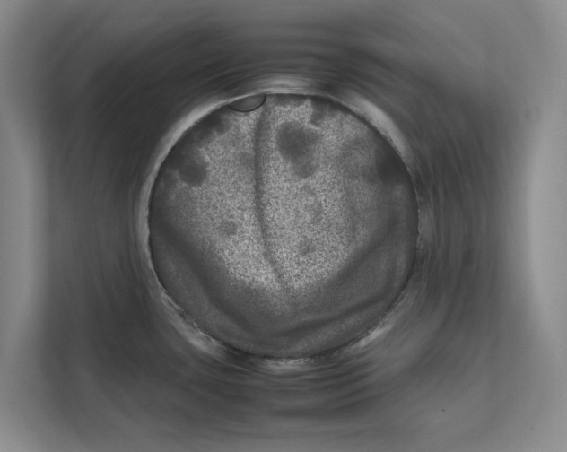 X0000111841435200908131409