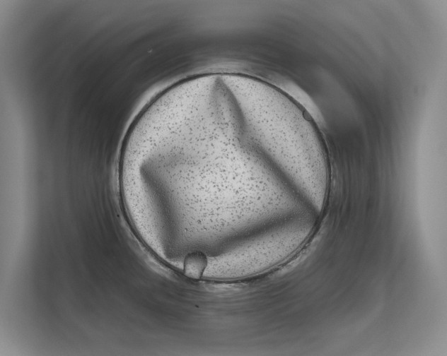 X0000111841436200908131409