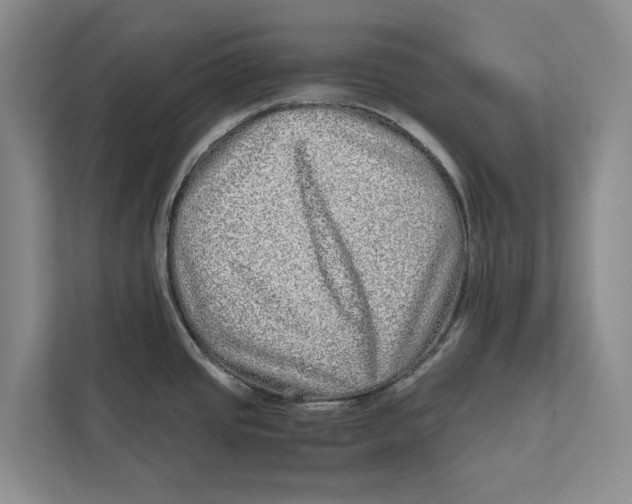 X0000111841437200908131409