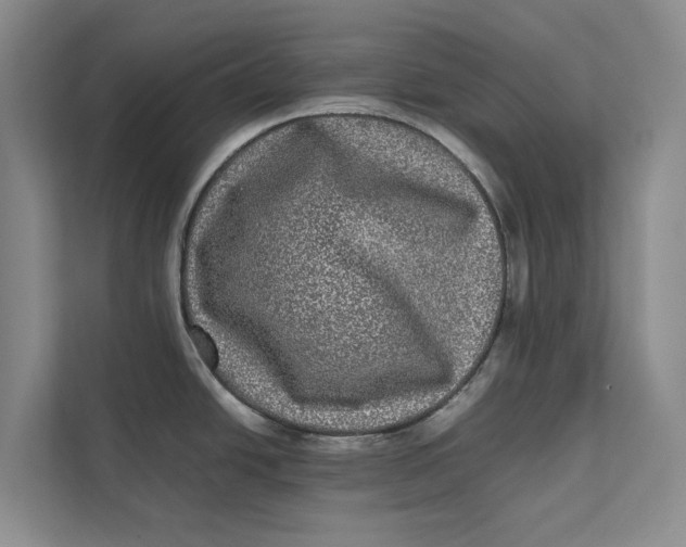 X0000111841438200908131409