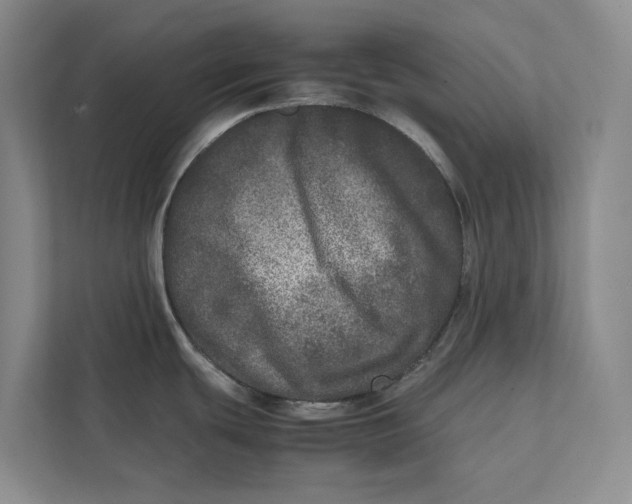 X0000111841439200908131409