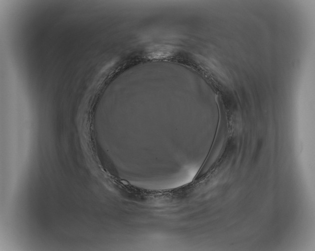 X0000111841441200908131409