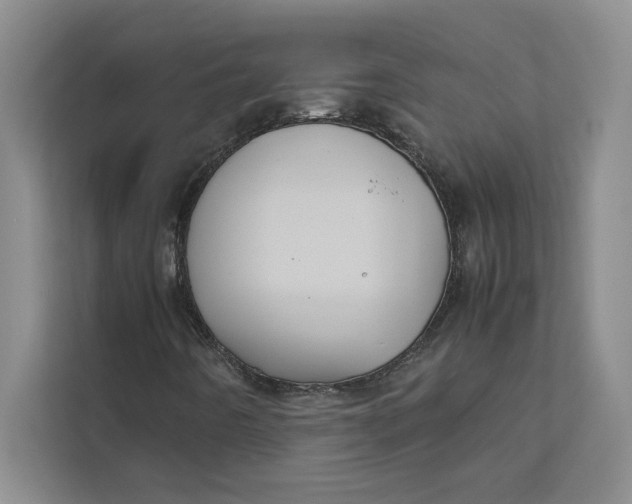 X0000111841442200908131409