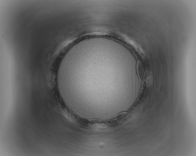 X0000111841448200908131408