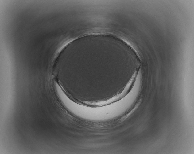 X0000111841453200908131408