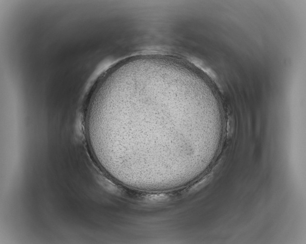 X0000111841454200908131408