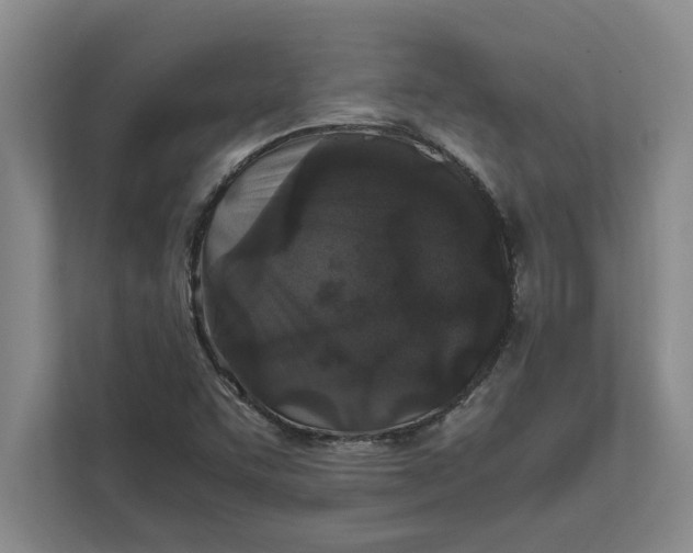 X0000111841455200908131408