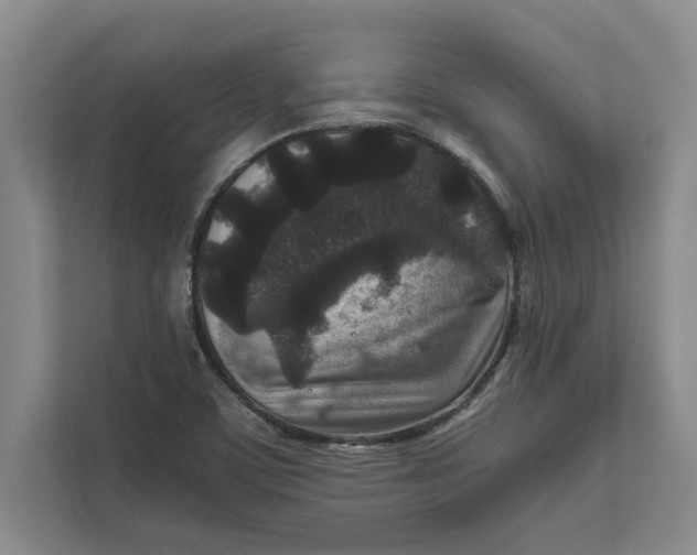 X0000111841459200908131408