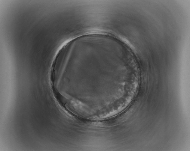 X0000111841463200908131408