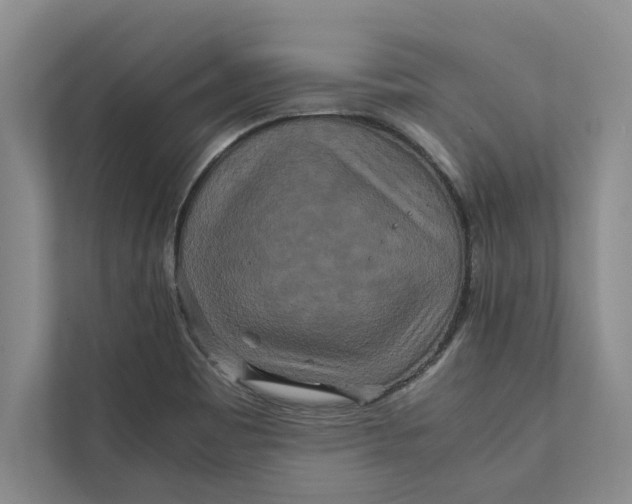 X0000111841465200908131408