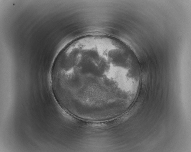 X0000111841466200908131408