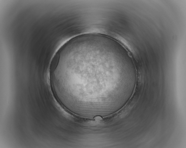 X0000111841468200908131408