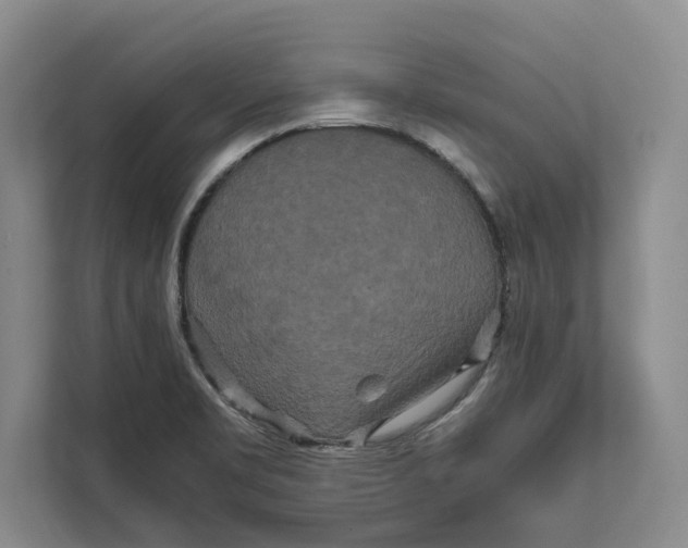 X0000111841469200908131408