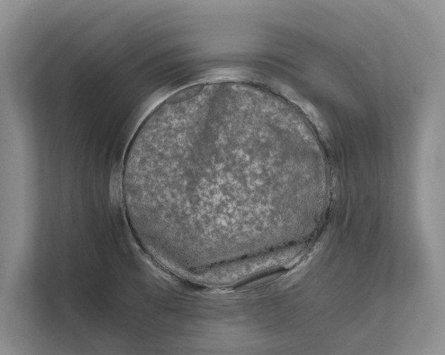 X0000111841473200908131408