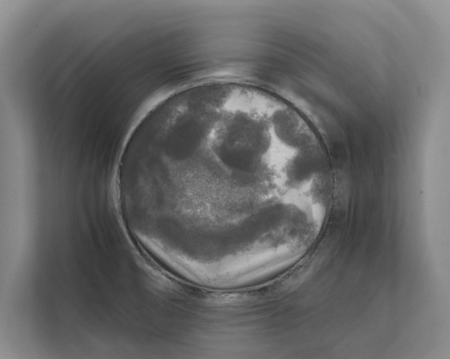 X0000111841474200908131408