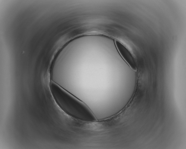 X0000111841476200908131408