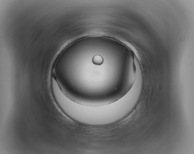 X0000111841477200908131408