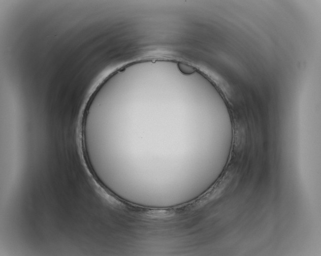 X0000111841478200908131408