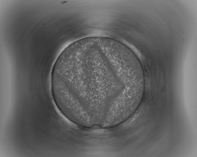 X0000111841479200908131408