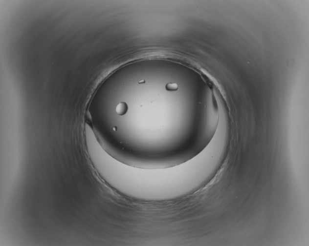 X0000111841481200908131408