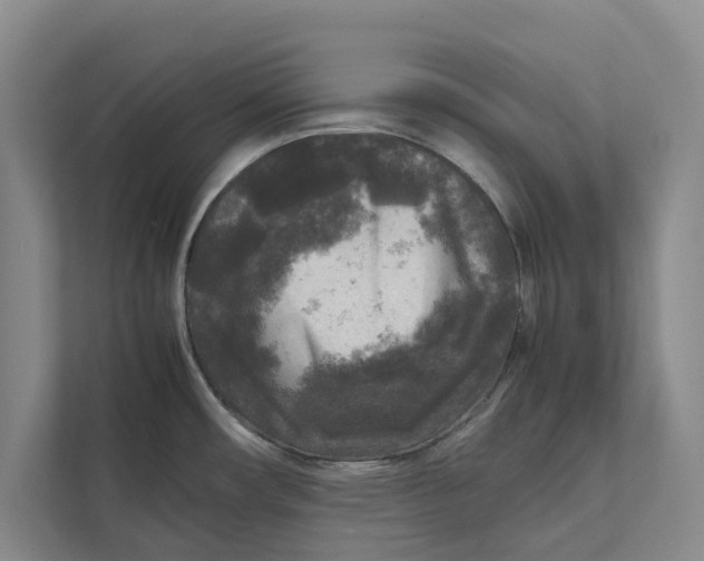 X0000111841482200908131408