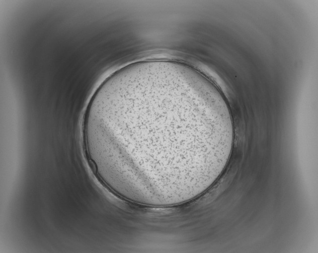 X0000111841483200908131408