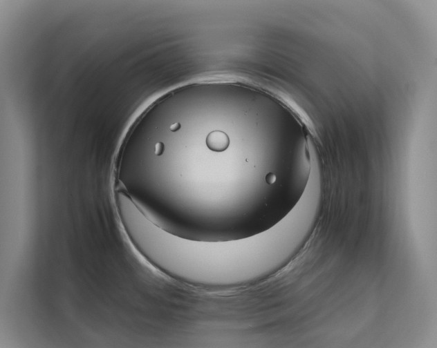 X0000111841484200908131408