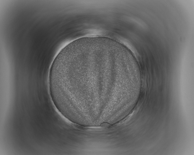 X0000111841487200908131408