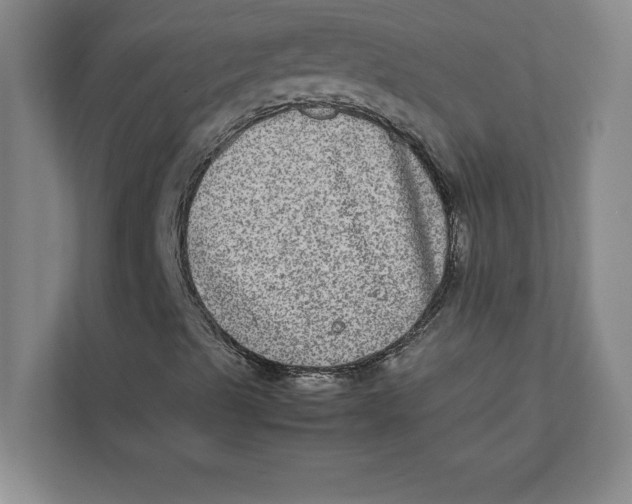 X0000111841489200908131407