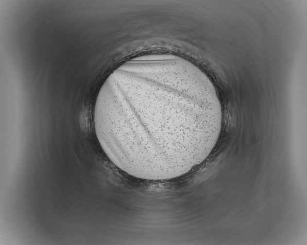 X0000111841490200908131407