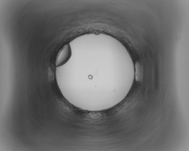 X0000111841491200908131407