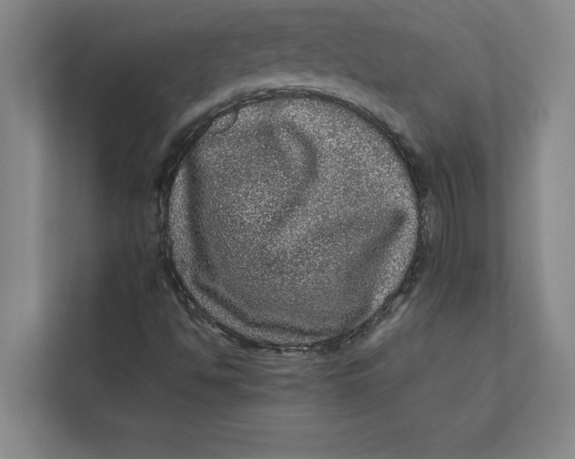 X0000111841494200908131407