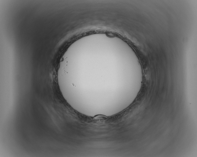 X0000111841495200908131407