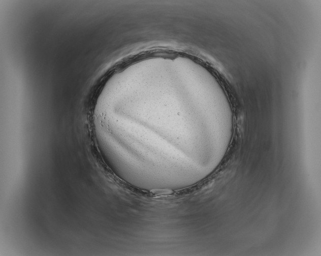 X0000111841496200908131407