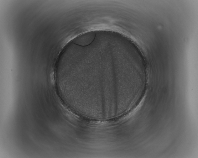 X0000111841497200908131407