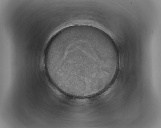 X0000111841498200908131407