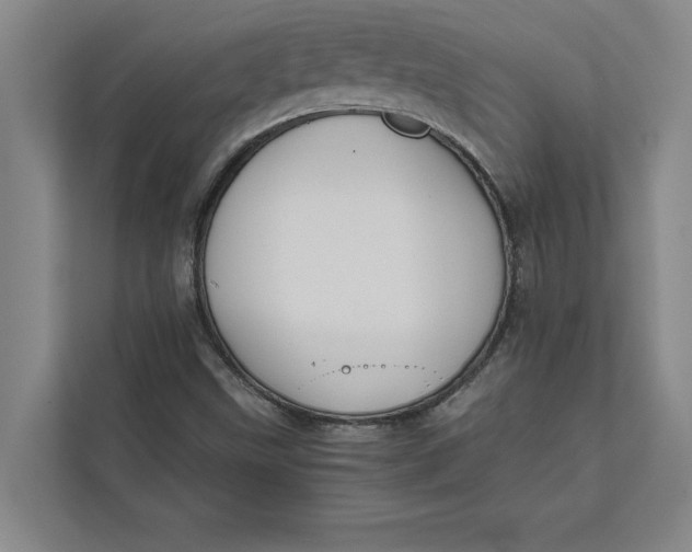 X0000111841499200908131407