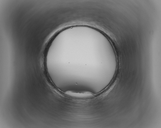 X0000111841502200908131407