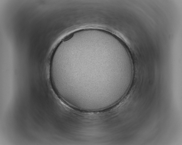 X0000111841504200908131407